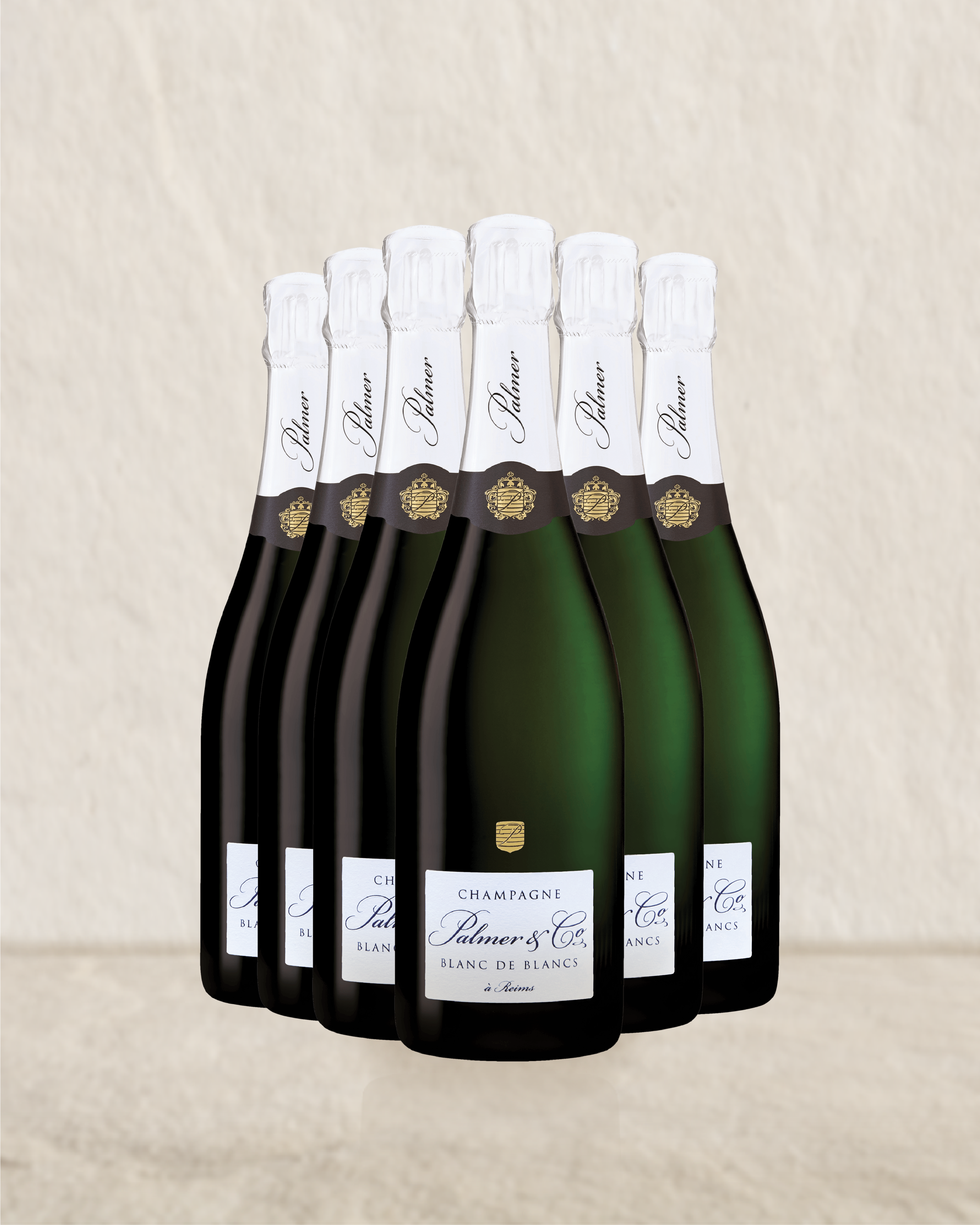 ChampagneGallery_Palmer_BDB_6PACK